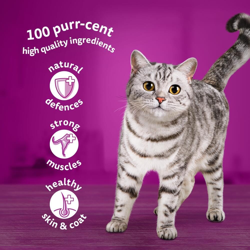 whiskas 1 plus Adult Mixed Selection in Jelly 84 Pouches, Adult Wet Cat Food, Megapack (84 x 85 g)