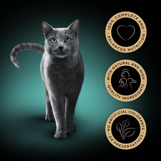 Sheba Fine Flakes in Jelly – Poultry Collection – Wet cat food pouches for adult cats – 40x85g pack
